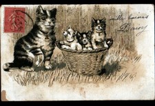 CHAT & CHATONS dans PANIER OSIER en 1906