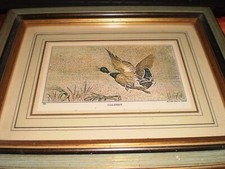 CADRE CANARD IMAGE COLVERT VOLANT