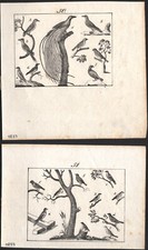 1833 Deux gravures originales