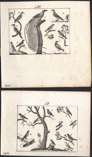 1833 deux gravures - 1833,