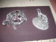 animal en cristal : tortue et