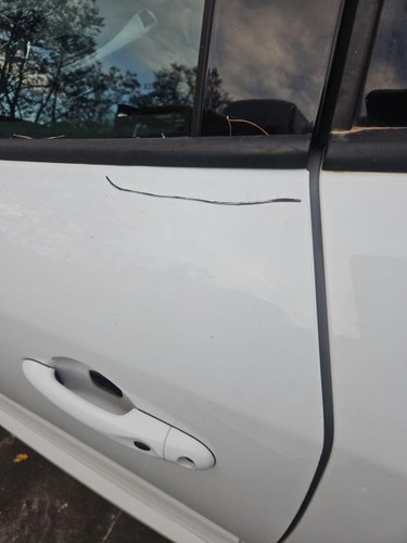 Porte avant gauche renault - porte,