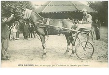 hippisme.n°35954.jour d