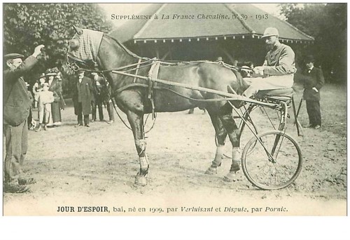 Hippisme 35954 jour - hippisme.n°35954.jour, d