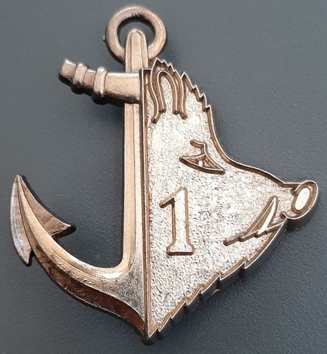 Insigne escadron ricm - insigne,