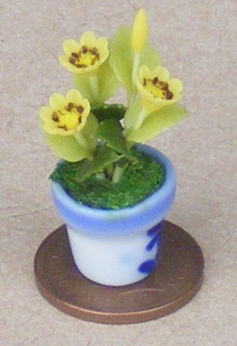 échelle jaune gazania - 1:12,