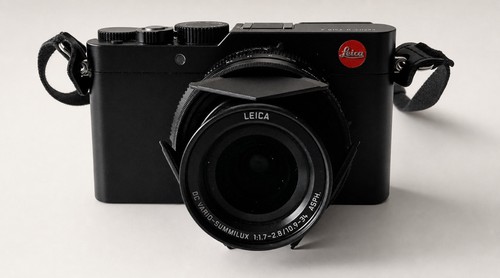 Leica lux 0mp digital - d-lux, 7