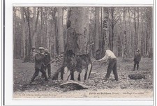 FORET-de-BELLEME : abattage