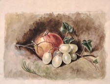 Petite Nature Morte  Aux Fruits D Automne Couché Sur Papier 21cm×27cm