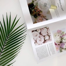 Feuilles de palmier Areca