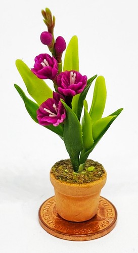 Maison poupées violet - de,