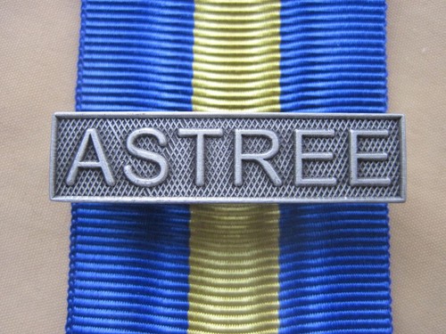 Agrafe astrée métal - agrafe,