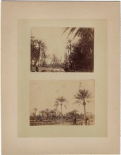 Algérie 2  Photos 19ème  Paysages