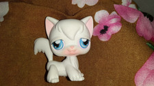 PETSHOP CHAT ANGORA BLANC YEUX BLEUS - Hasbro 2004