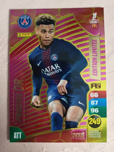 Panini adrenalyn ligue1 - panini,