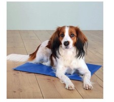 Matelas rafraichissant