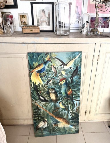 Tableau ancien 1950 oiseaux - tableau,