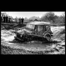 Photo A.037392 AUSTIN CHAMP