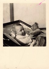 ANCIENNE PHOTOGRAPHIE 1950 BAMBIN DANS SON LANDEAU AVEC SON NOUNOURS
