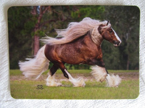 Horse swap card modern - horse,