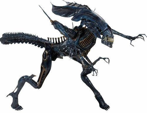 James cameron aliens alien - james,
