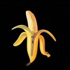 Dandy Warhols [CD] Welcome to