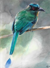 bel oiseau bleu sur une