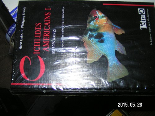 Cichlides americains 1 - ¤¤,