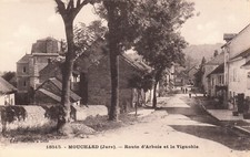 Carte postale ancienne JURA MOUCHARD route d'Arbois et le Vignoble éd mitaine