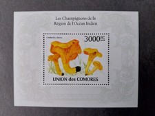 [357 14]- YEAR 2010 - COMOROS  - MUSHROOMS    1X BF complet set  MNH/**