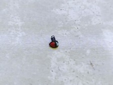 Répétiteur flanc - 1/18,