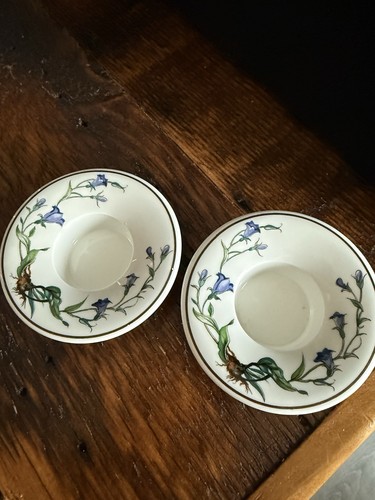 Villeroy and boch botanica - and,