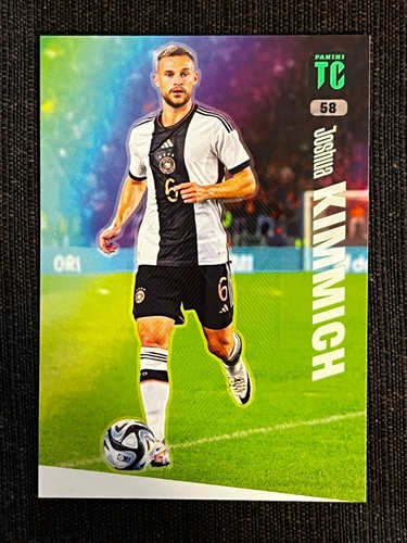 Card panini top class - panini,