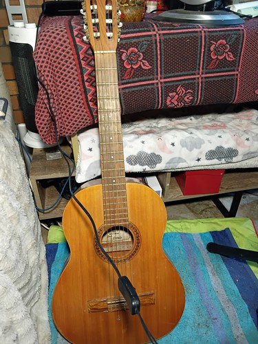 Acoustic guitar giannini 1900 - guitar,