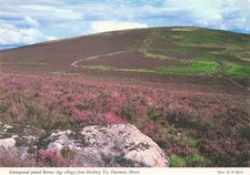 ANGLETERRE DARTMOOR DARTMOOR