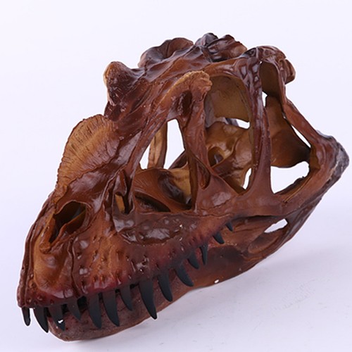 échelle dinosaure - 1/10,