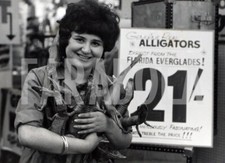 Photo De Presse Vintage Animaux Royaume-Uni Alligators À Vendre À Londres, 1965