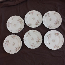 Haviland Limoges Torse 6 assiettes de 24 cm modele Sylvie