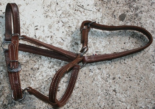 Licol cuir marron - horse, shoe