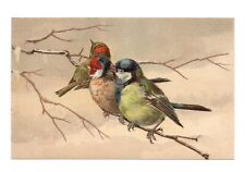 Oiseaux .   Chardonneret