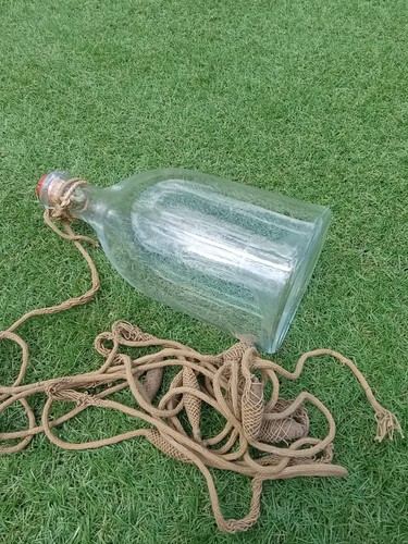 Goujonnière bouteille à - goujonnière,,