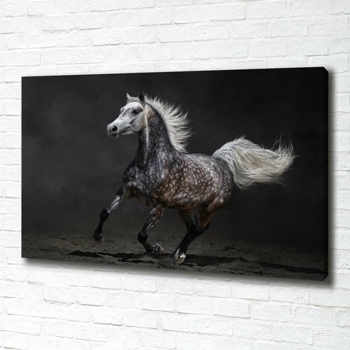Tulup image sur toile - image,