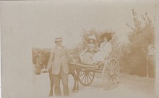 CPA  carte photo la promenade dominicale en carriole attelage Cheval a situ