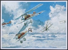 Ostwald Boelcke et ses