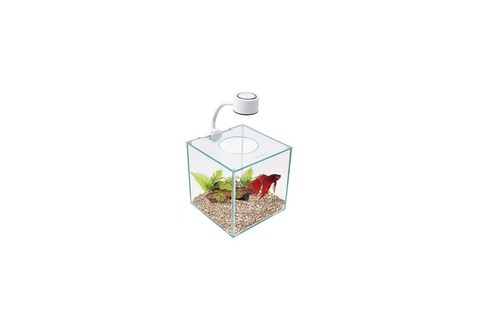 Aquarium betta kit cubus - cubus, en