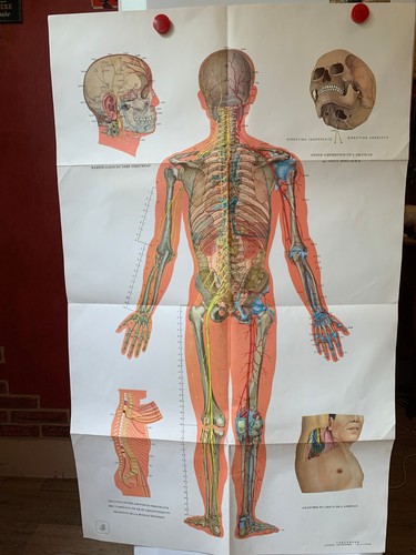 Ancienne affiche medicale - ancienne,