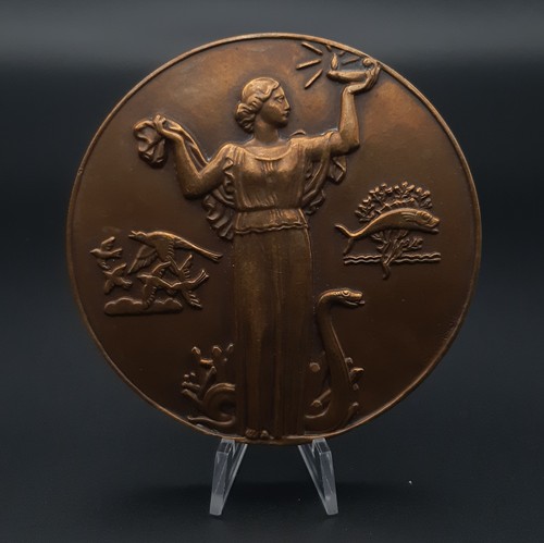 Médaille bronze france - en,
