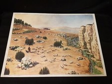 Affiche scolaire ROSSIGNOL