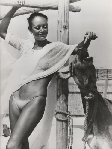 Photo afp tropez 1977 - tropez,