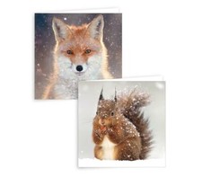 Lot de 10 cartes de voeux de Noël carrées design écureuil et renard